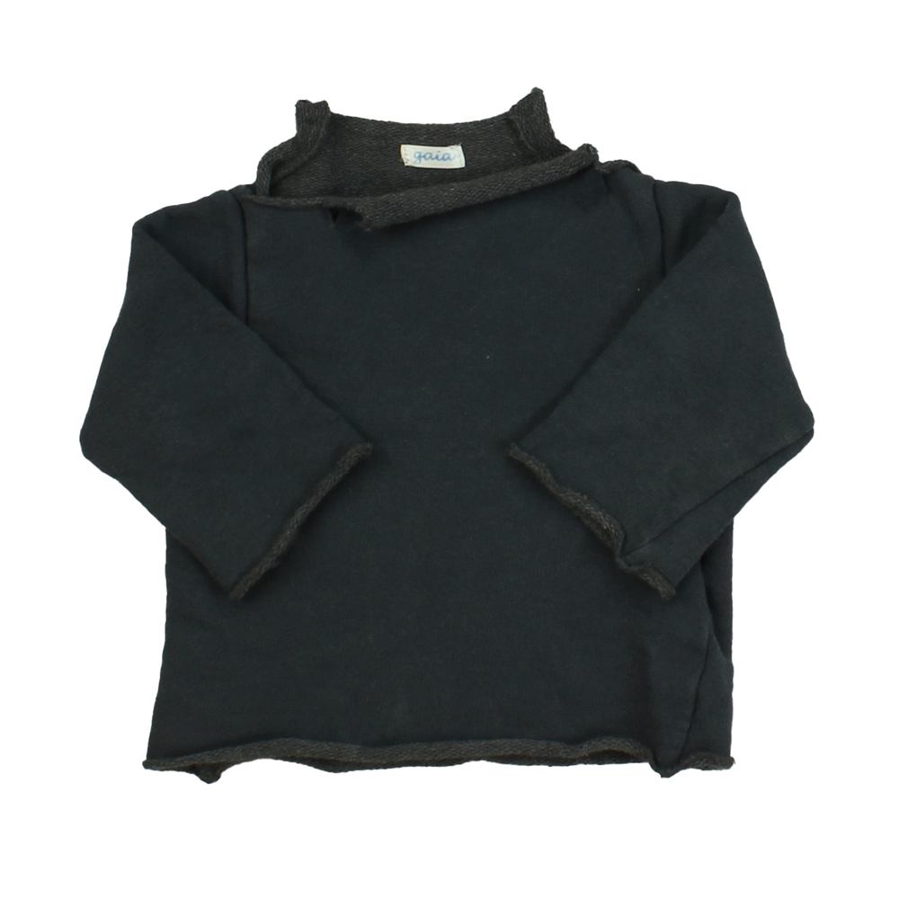 Gaia Boys Grey Sweatshirt size: 18 Months